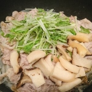 【フライパンひとつで】豚肉と水菜の蒸ししゃぶ